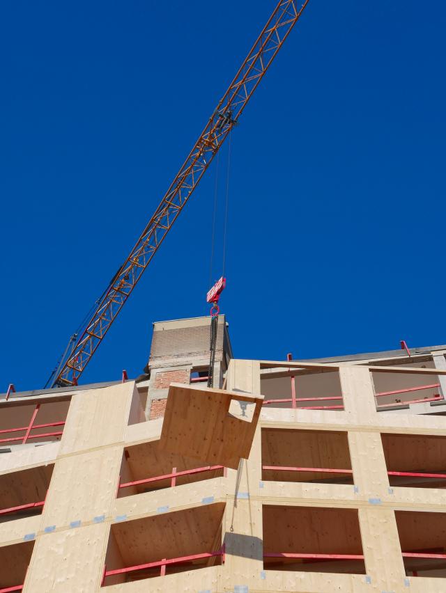 Photo de chantier. Montage de l'ossature CLT.