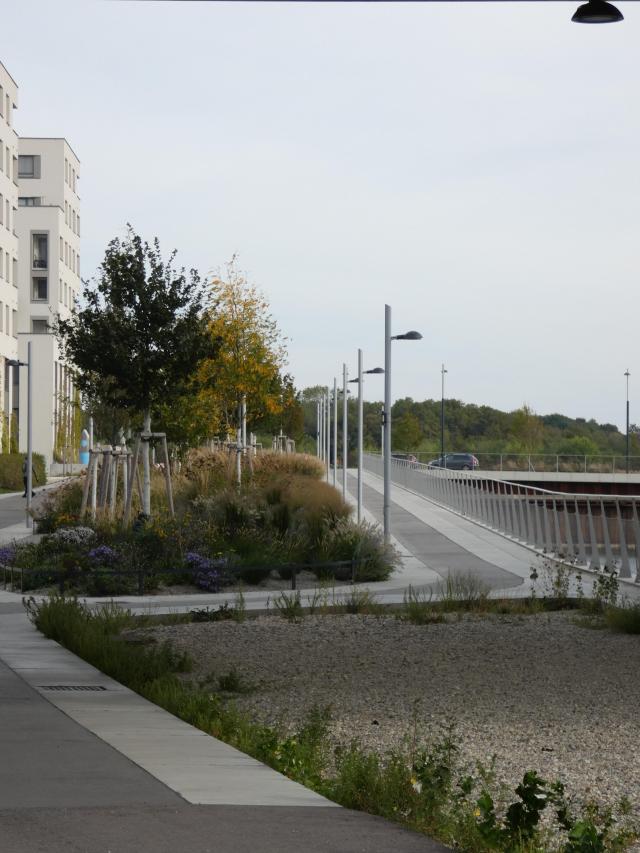 photo d'espacements public planté et éclairé