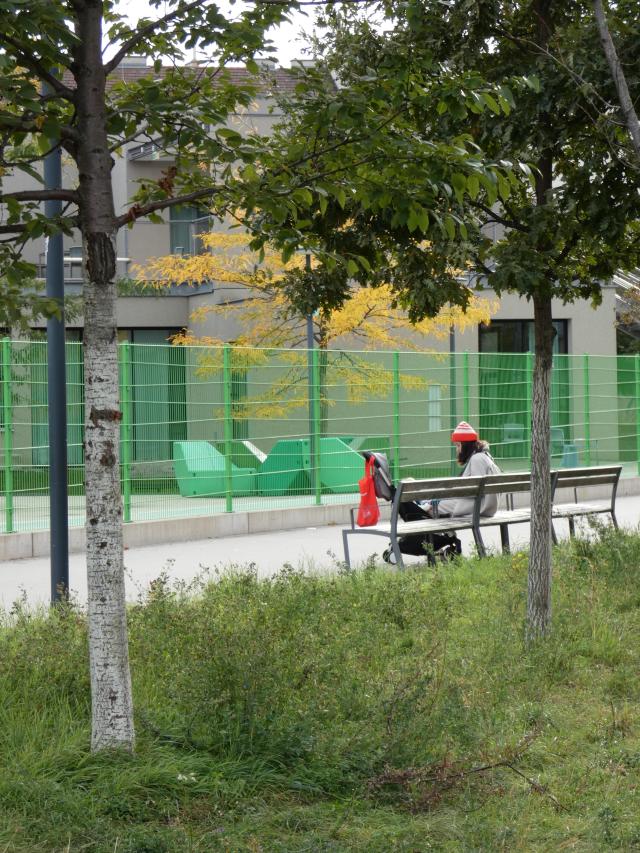 photo d'un banc le long d'une voie piétonne plantée