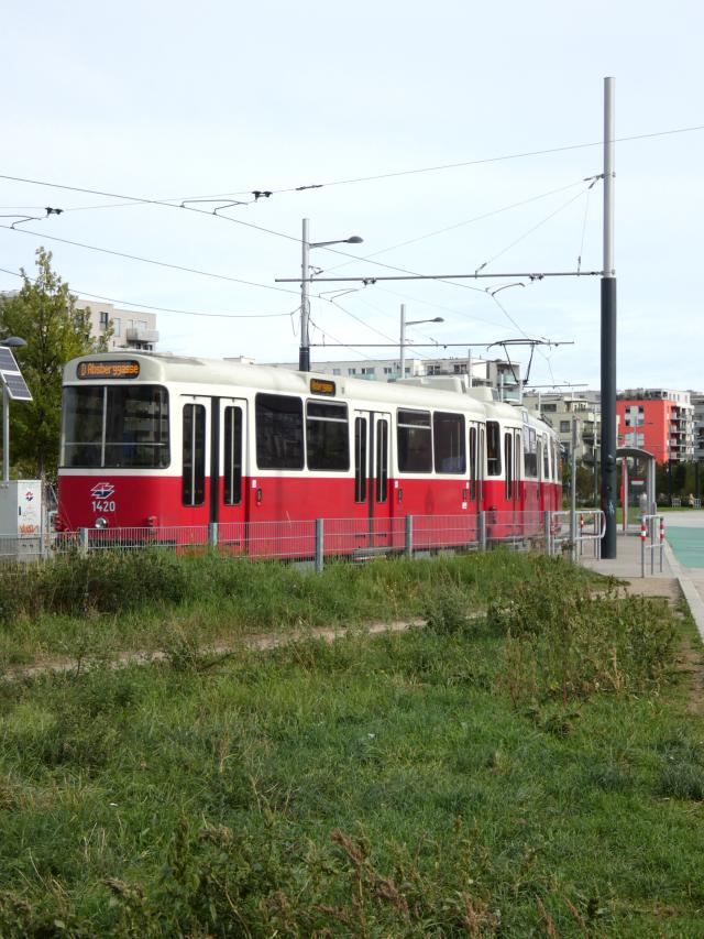 photo d'un tram
