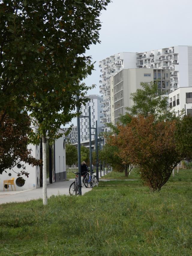 photo d'espaces publics arborés