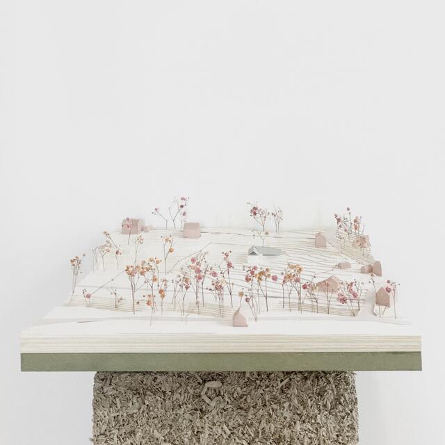 Photo de la maquette 