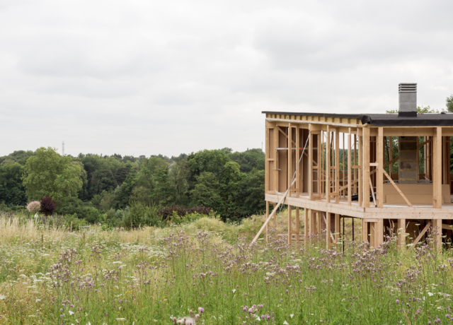 Photo de l'ossature bois 