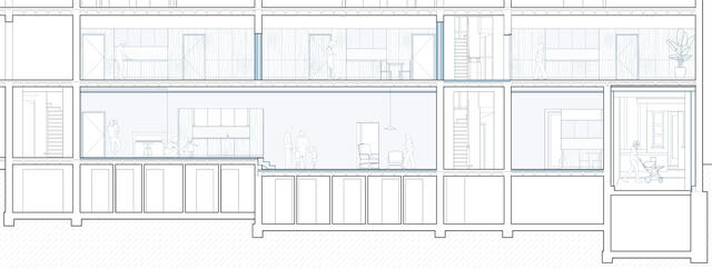 Cygnes - Coupe Longitudinales Studios