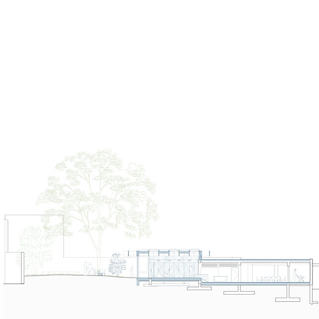 Cygnes - Coupe du kindercafé