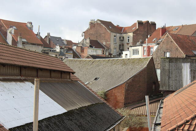 Photo d'intérieur d'îlot 