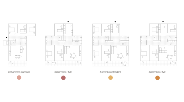Typologies du projet