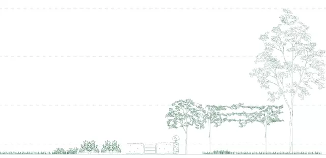 élévation reprenant les différentes strates paysagères au coeur de la cité