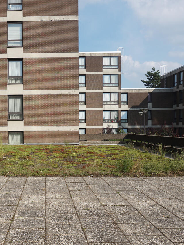 Photo des espaces public du quartier Versailles