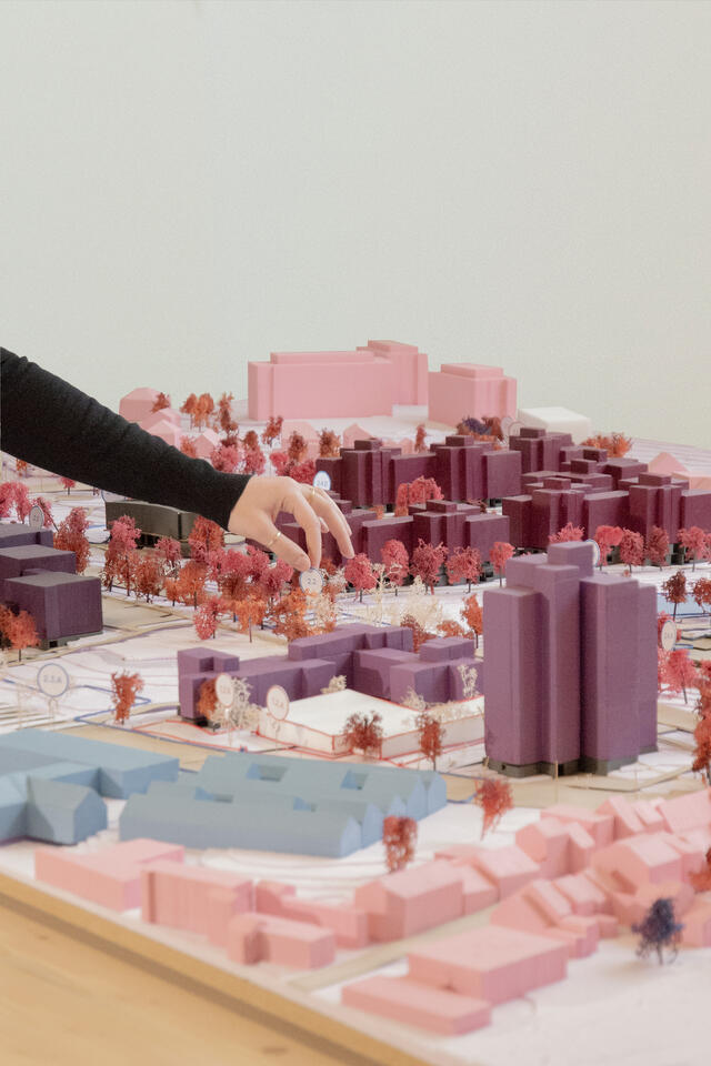 Photographie maquette de site