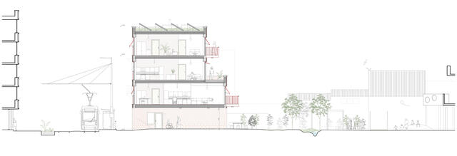 Coupe longitudinale du projet 